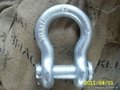 US Type Screw Pin Anchor Shackle G213 2