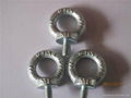 DIN580 eye bolts 