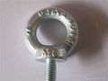 DIN580 eye bolts  2