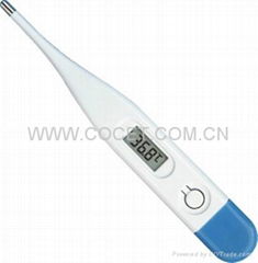 Digital thermometer