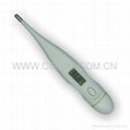 Digital thermometer