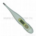 digital thermometer with waterproof