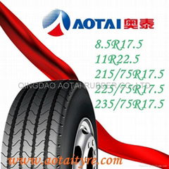 Radial Truck Tire 315/60R22.5