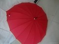 heat shape umbrella  3