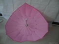 heat shape umbrella  4