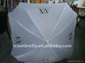 square garden umbrella 2