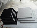 Granite(shanxi Black)