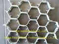 Hot sale Tortoise Shell Mesh (factory)