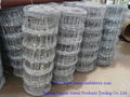 prairie fence wire mesh(factory price) 2