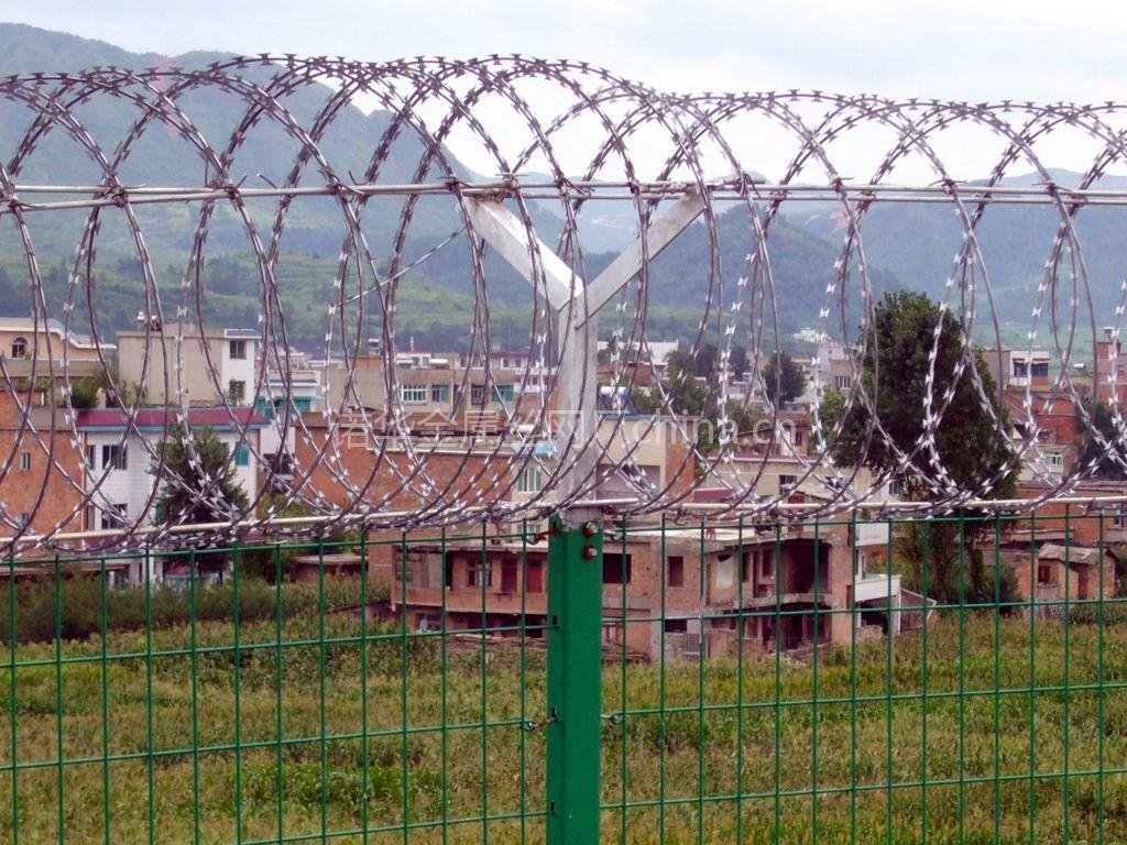 high quality best price barbed wire (factory) 3