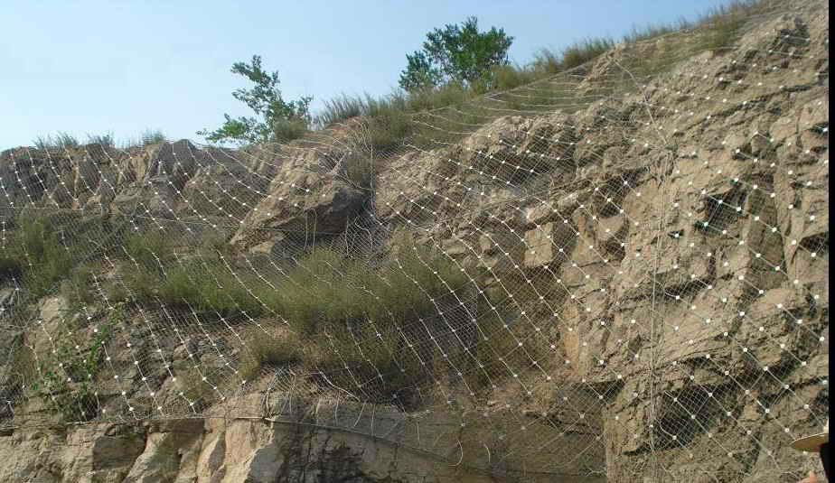 slope protective mesh (ISO9001-2000 Certificate)