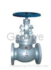 globe valve