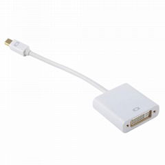 Mini Displayport to DVI Adapter