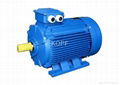 Y2 Series Three-phase Induction Motor