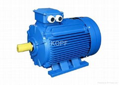 Y2 Series Three-phase Induction Motor