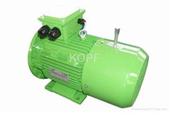 MSEJ Three-Phase Asynchronous Brake Electric Motor