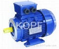 GX Series High Efficiency Electric Motor