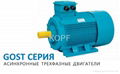 GOST Standard Electric Motor（Russian） 1