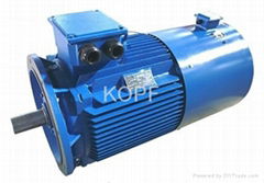 Y2EJVF Series Brake Inverter Duty Electric Motor 