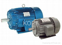 AEEF Series Three-phase Induction Electric Motor