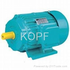 Y Series Three-phase Induction Electric Motor