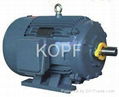 NEMA Standard High Efficiency Three-phase Induction Electric Motor