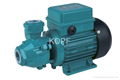 QB SERIES ELECTRIC CLEAN WATER PUMP