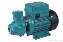 QB SERIES ELECTRIC CLEAN WATER PUMP