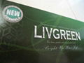 LivGreen Powdered Drink (100% Herbs) 1