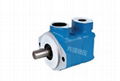 V10 high performance vane pump