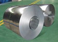 Stainless steel coil,stainless