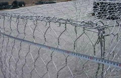 hexagonal wire mesh