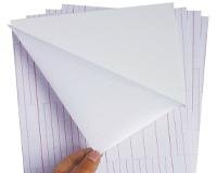 self adhesive foam board in white color 5mmx48inx96in