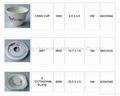 Melamine Cup and Plate 2