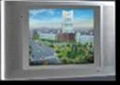 17" LCD Advertising display 2