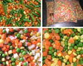 Frozen mixed vegetables 1