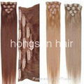 clips in hair extension 2