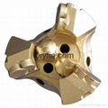 PDC Drill Bit