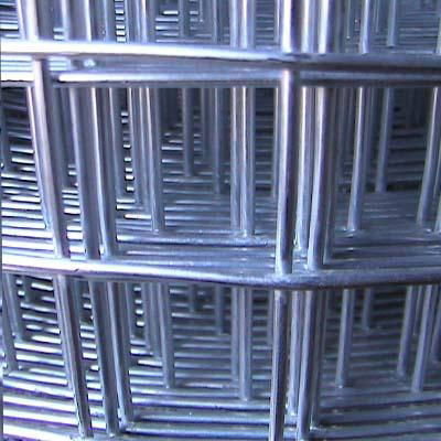 Welded Wire Mesh