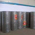 Welded Wire Mesh 4