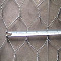 Hexagonal Wire Netting 3