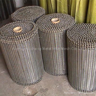 Conveyor Belt Mesh 4