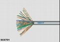 CAT5 25 Pairs Unshielded Twisted Cable  1