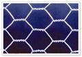 Hexagonal Wire Mesh 1