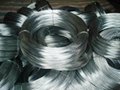 Galvanized steel wire
