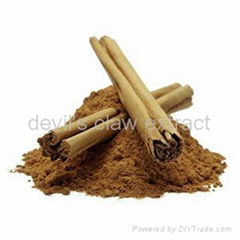 the biggest producer of Cinnamon Bark Extract  in China
