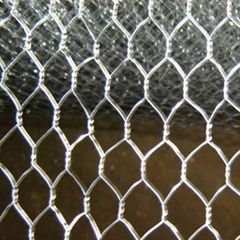 hex wire mesh