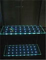 LED Glass for Building Curtain Wall 3