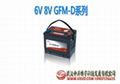 艾诺斯华达蓄电池6V 8V GFM-D系列 1