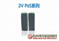 艾诺斯华达蓄电池2V PzS系列 1